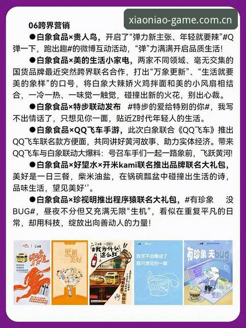 资深玩家经验分享：小鸟品牌评价安装教程全解读，手把手教你安全上手
